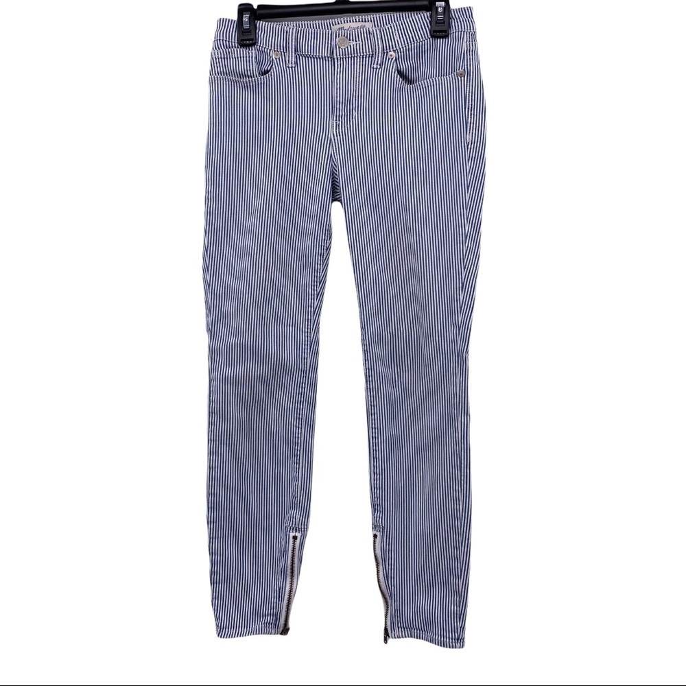 Madewell Striped Skinny Blue/White Zipped Ankle Size 29